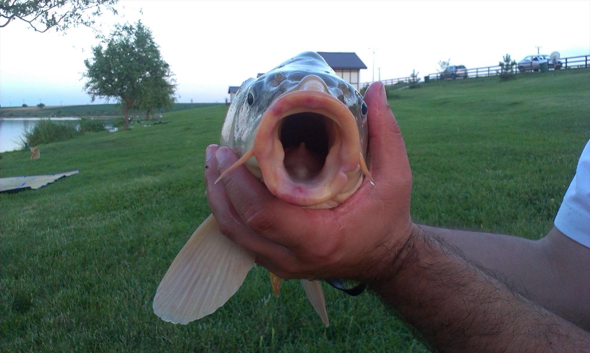 Solacolu 15-16.06.2013 - imag0037.jpg